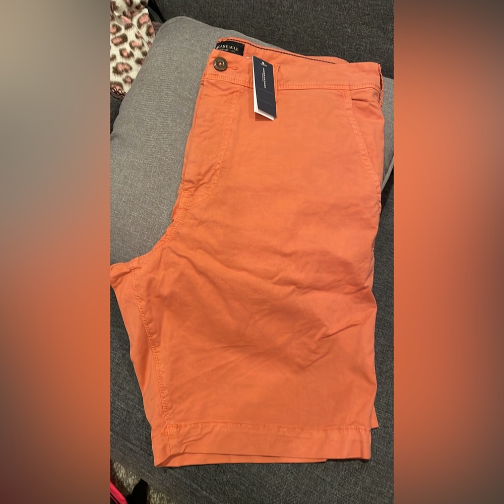 Mens new with tags American Eagle shorts